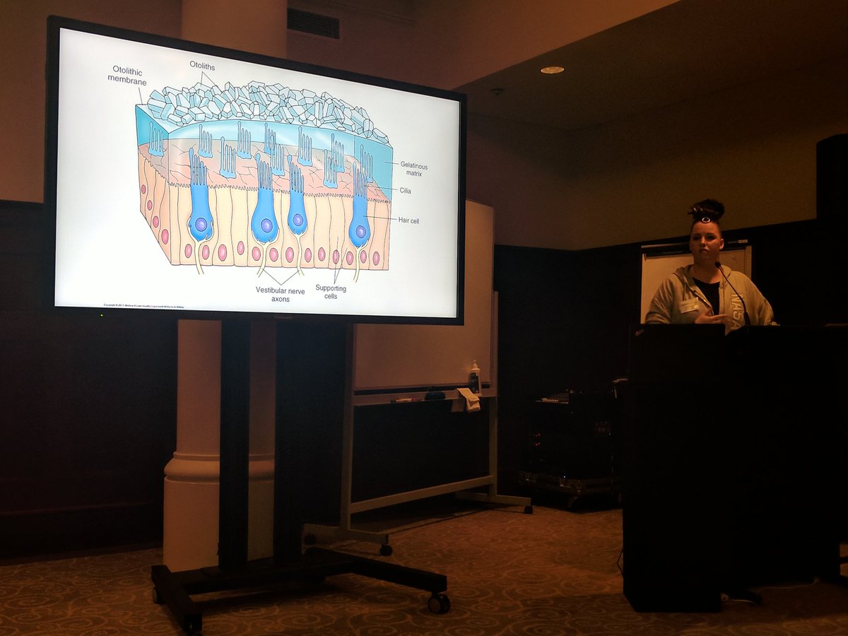 mars_psych's tweet photo. #vestibular #training using #VirtualReality for #human #spaceflight &amp; postflight rehab! @OPXSpace #ASAM_HiS #games #gaming #VR #extrememed https://t.co/pAOjSZdvAF
