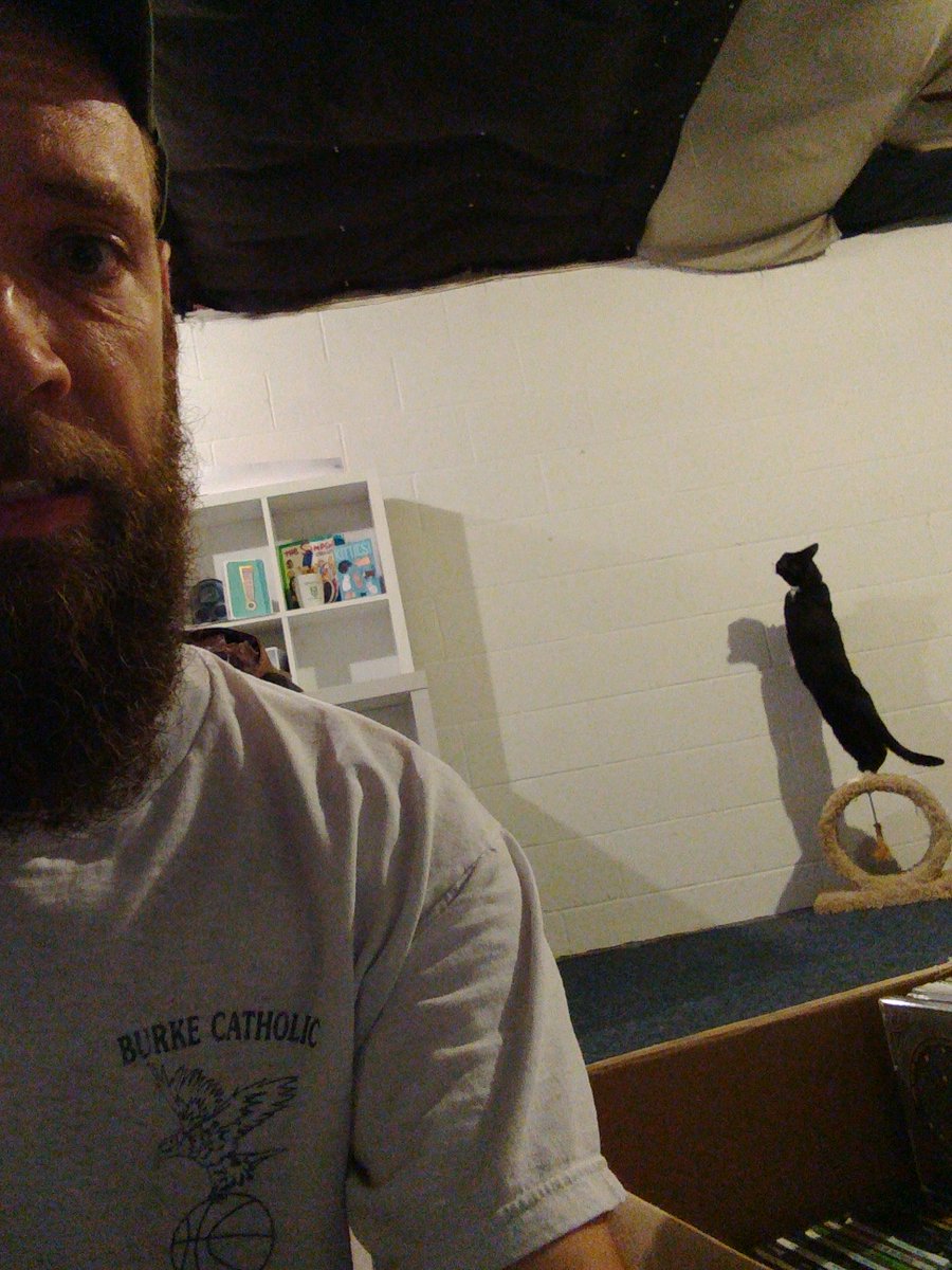 FargoCat's tweet photo. The force is strong in the young kitten #cats #catpowers #dontgointhebasement https://t.co/8KLigY77KW