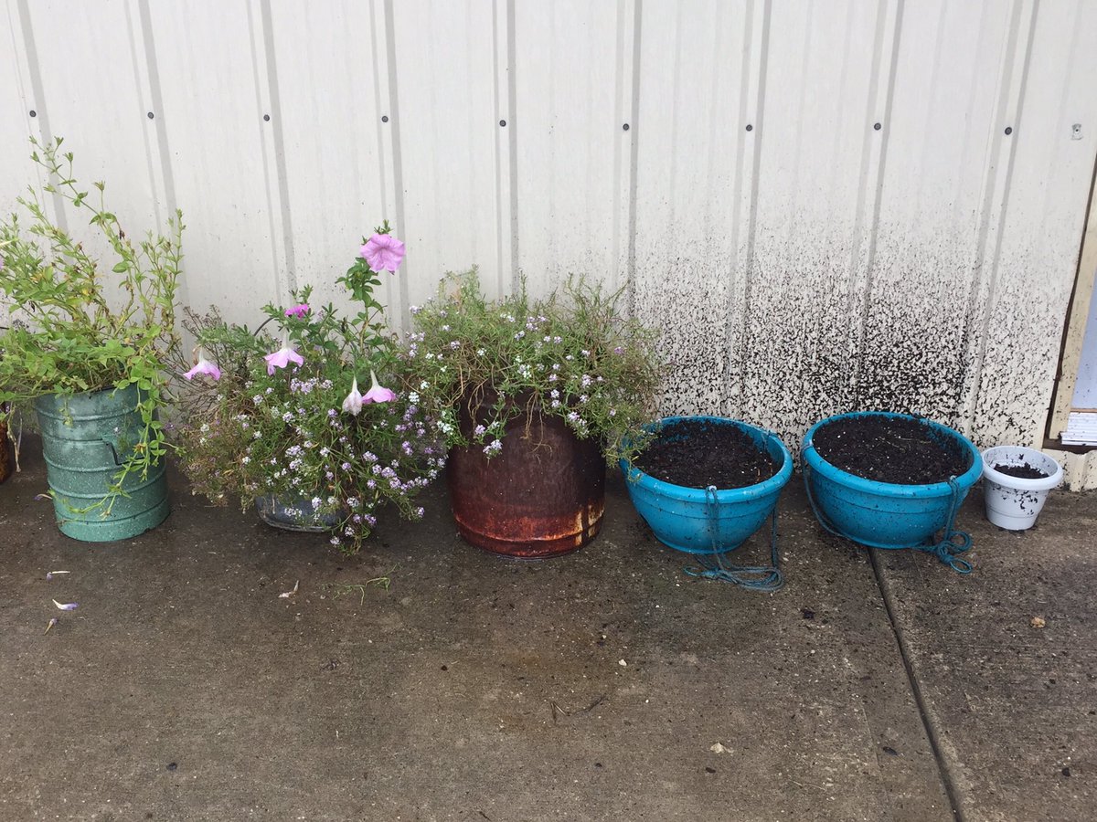 Till vs. no till. #rainyday #coveryouracres #covercrops #notill <a href="/Notillorg/">Notill on the Plains</a>