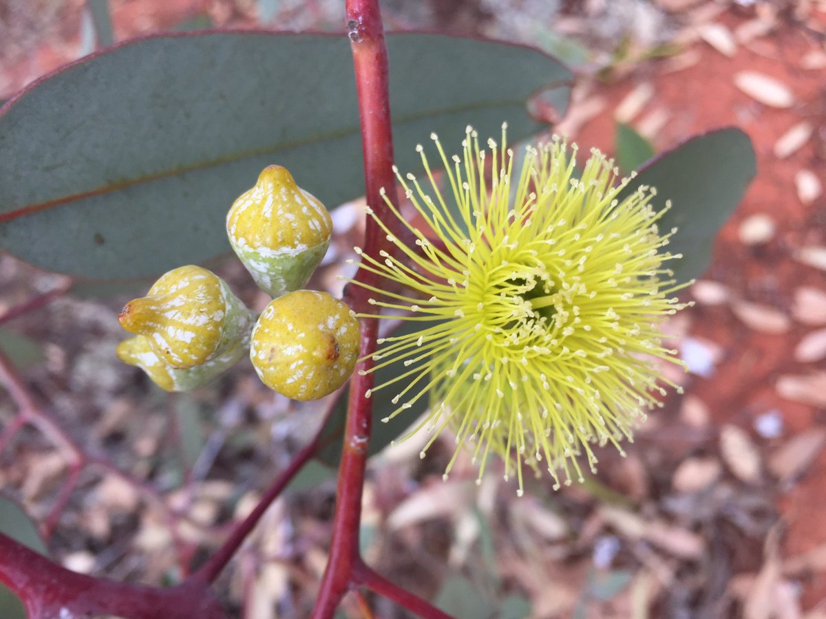 @TSCommissioner tweet media