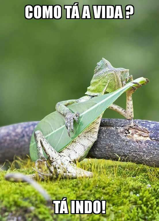 Boa noite Betas!!!
#OperacaoBetaLab 
#BetasPrimeiraClasse 
#BetaAjudaBeta 
#Betas 
#TimBetaAjudaTimBeta 
#TimBetaSegueTimBeta