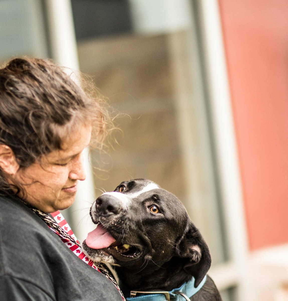 DrMartyBecker's tweet photo. How to help pets and animal shelters in the path of #HurricaneHarvey https://t.co/43OWl2qTn7 @petcofoundation https://t.co/mx4bVwgM2x