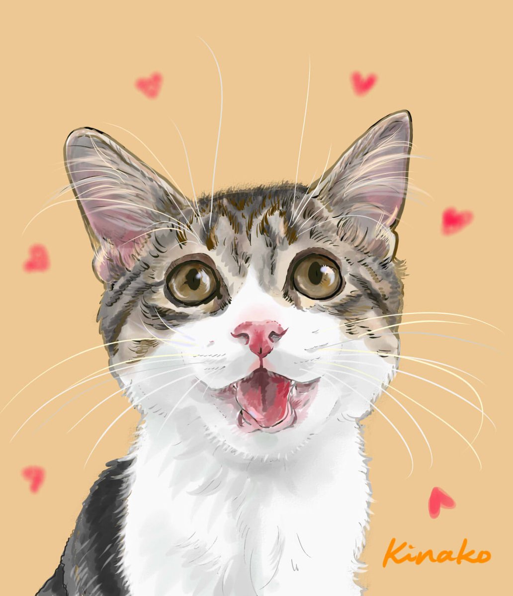 Uzivatel きなこ 猫の絵を描いています Na Twitteru 昨日登場した うし若まる さんの若ちゃんです このお口を開けて笑っているような 歌を歌っているような ピャーッっていう表情がとにかくかわいいんです 今朝 イラストで描いてみました