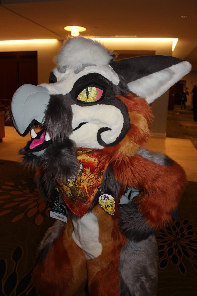 cheesebeagle's tweet photo. Posted pics I took on Sunday @faunited #fau2017 at https://t.co/j4imkdqoCA   Enjoy! https://t.co/Vn8fNhdR1e