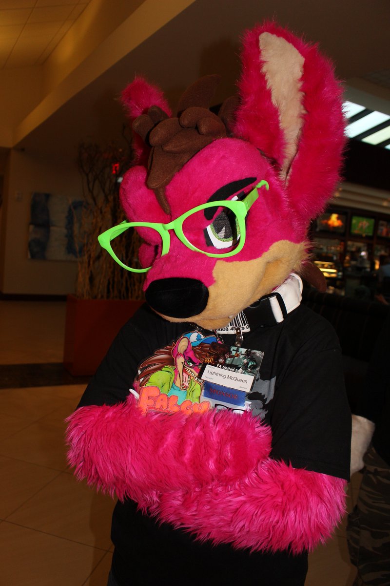 cheesebeagle's tweet photo. Posted pics I took on Sunday @faunited #fau2017 at https://t.co/j4imkdqoCA   Enjoy! https://t.co/Vn8fNhdR1e