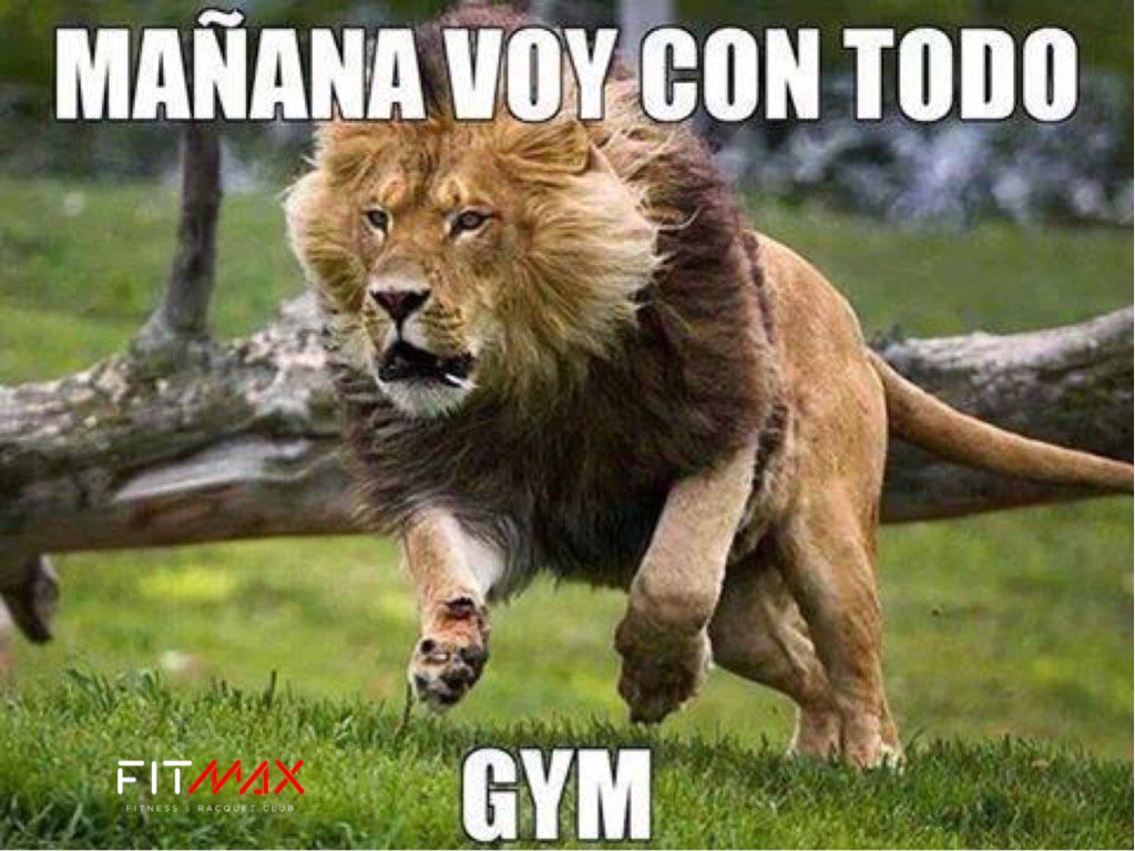 FitmaxCuu's tweet photo. Después de #GameOfThrones mañana toca ir a entrenar. #nosevalerajarse #cuu #gym https://t.co/aQ8ei1r5C7