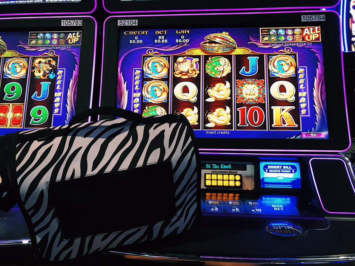 Thenamesbina's tweet photo. Do you ever drive past a casino and wanna try and win money but you have your cat in the car with you so you take him inside? Because same https://t.co/2GhzJqu4RI