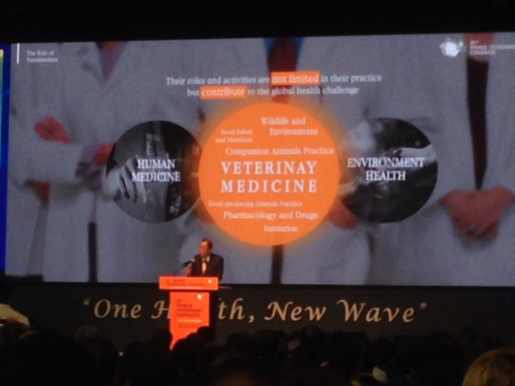 AMonavvari's tweet photo. Proud to represent Human Medicine portion of #OneHealth at #WVC2017 as a family doctor representing @UofTFamilyMed https://t.co/9wz7fSuaEu
