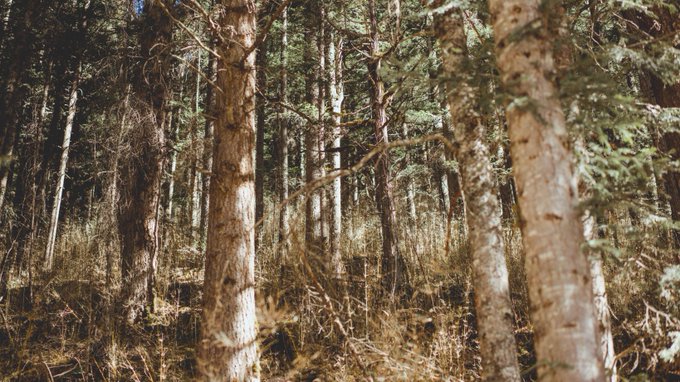 Twitterのコスプレ画像23