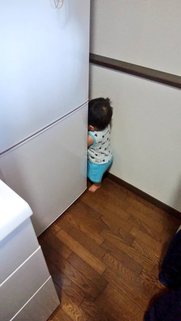 なんでそこにいるのww冷蔵庫の隙間に入ろうとする赤ちゃんが可愛すぎるww