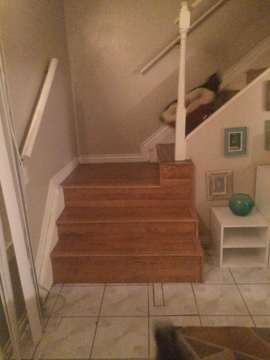 bedsafely's tweet photo. I got a Ham a new bed and set it down while I unloaded groceries. You're welcome, I guess. Bye. https://t.co/xF0KCxMyRw