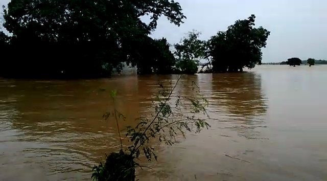 News18Odia's tweet photo. ନବରଙ୍ଗପୁର:ଲଗାଣ ବର୍ଷା ଯୋଗୁଁ ଚିକିଲି-ତୁରି ନଦୀରେ ଜଳସ୍ତର ବୃଦ୍ଧି,ପାପଡ଼ାହାଣ୍ତି ଗାଁର ପାଇକସାହି ପାଣି ଘେରରେ #Odisha https://t.co/dml9Fic1kq