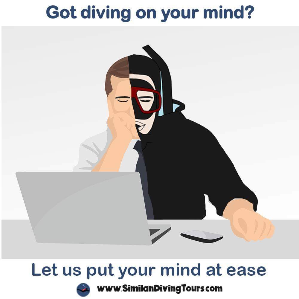 ChuleekornMorg's tweet photo. Got diving on your mind?
Take a look at https://t.co/FAAX40TIKc
#diving #similandiving
#similandivingtours
#liveaboards https://t.co/eBVNZDOx0a
