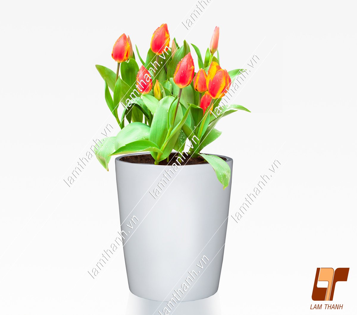 LamThanhpottery's tweet photo. Vietnam Polystone Pots
#Vietnamgardenpots #Lamthanhpottery #Pots #Planter #Vase #Vietnam
#Vietnamgardenplanters #Outdoorpots #Polypots https://t.co/qMoIw5eOC0