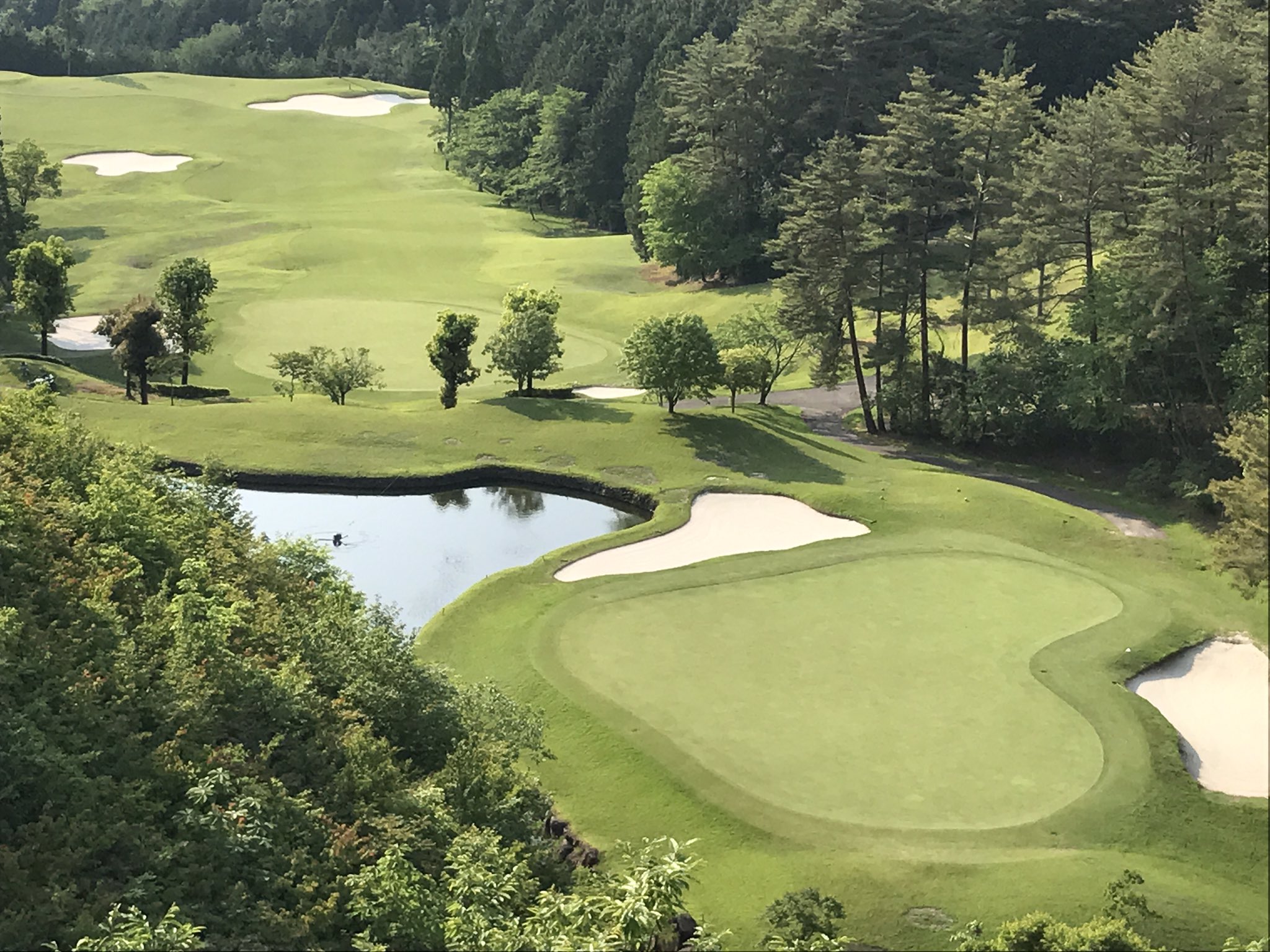 Ginjiro ハートのグリーン ボクがよく行くゴルフ場 美濃白川ゴルフ倶楽部 飛水峡コース 6番ホールのグリーンはハート形で 9番のティーグラウンド近くの 愛の展望台 からの景色 T Co R8brjpyhcb Twitter Ginjiro ハートのグリーン ボクがよく行くゴルフ場 美濃白川ゴルフ倶楽部 飛水峡コース 6番ホールのグリーンはハート形で 9番のティーグラウンド近くの 愛の展望台 からの景色 T Co R8brjpyhcb Twitter