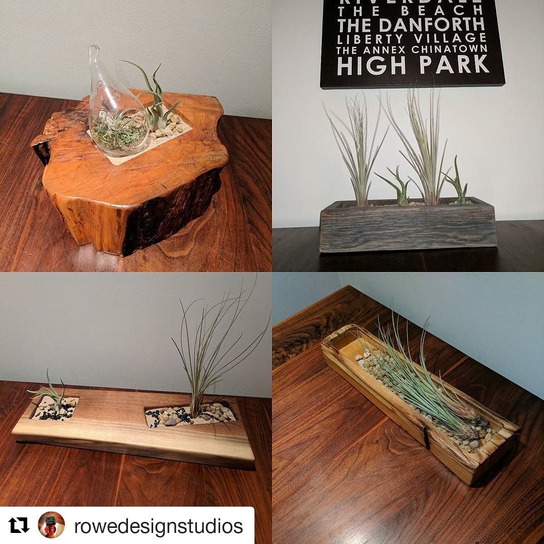 RDSToronto's tweet photo. Having a little fun w #succulents + our unique trays - So many great ways to use our pieces! #rowedesignstudios #woodworker #decor #design https://t.co/yJ44NOwVYA