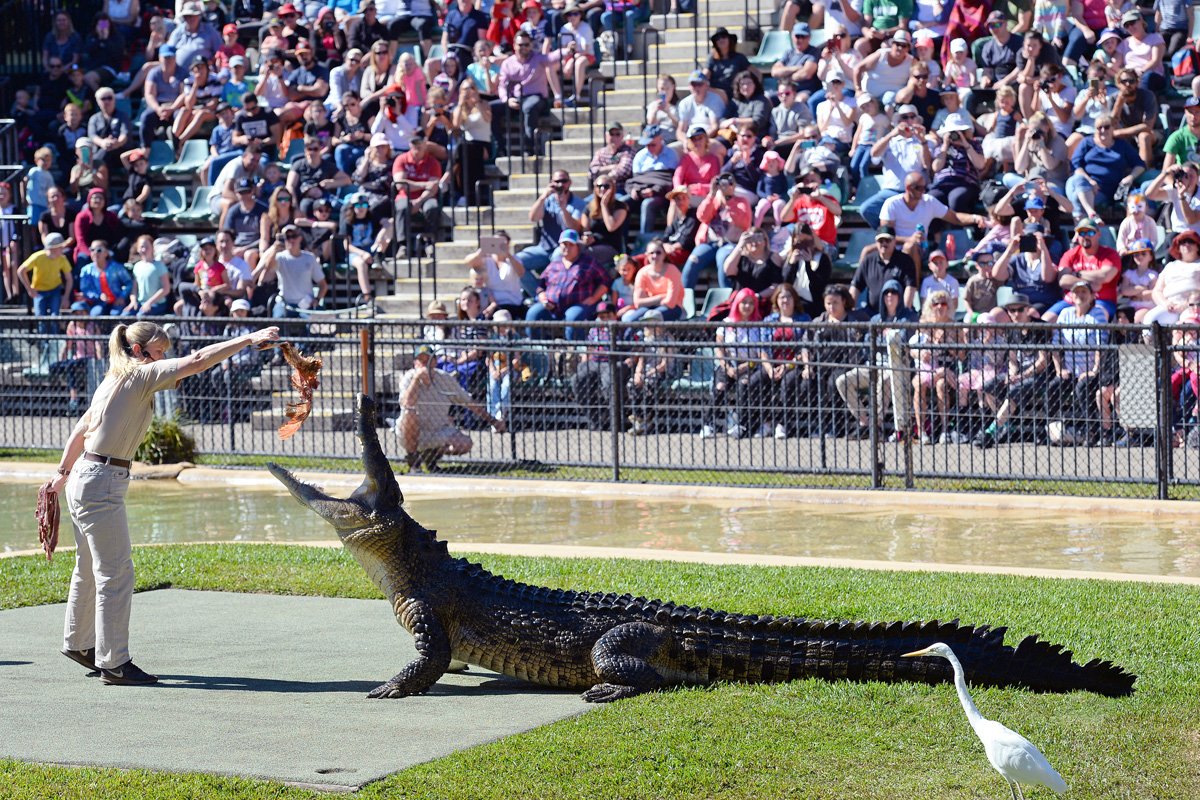 AustraliaZoo's tweet photo. Woo-Hoo! We've been nominated in @TheQTIC's 'People's Choice' category! Vote for us as your favorite attraction: https://t.co/08a0TPPLnb https://t.co/BKOn9P2PB0