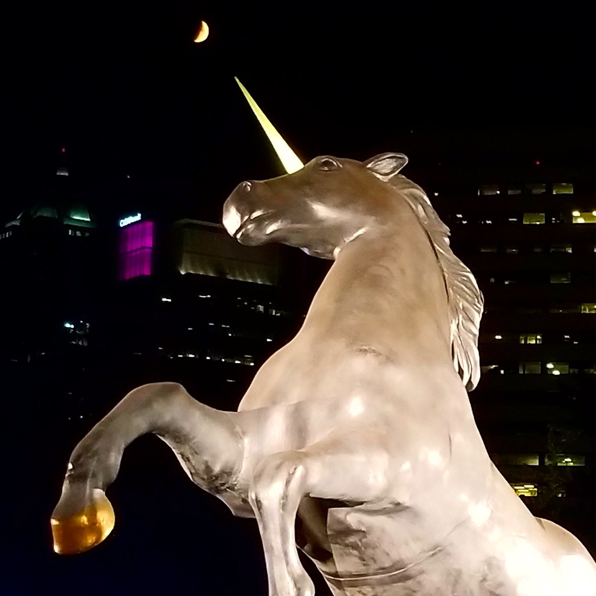 RTFern's tweet photo. Goodnight #Rosechella!

#MFNW x #ProjectPabst https://t.co/vs5PdYDiJy