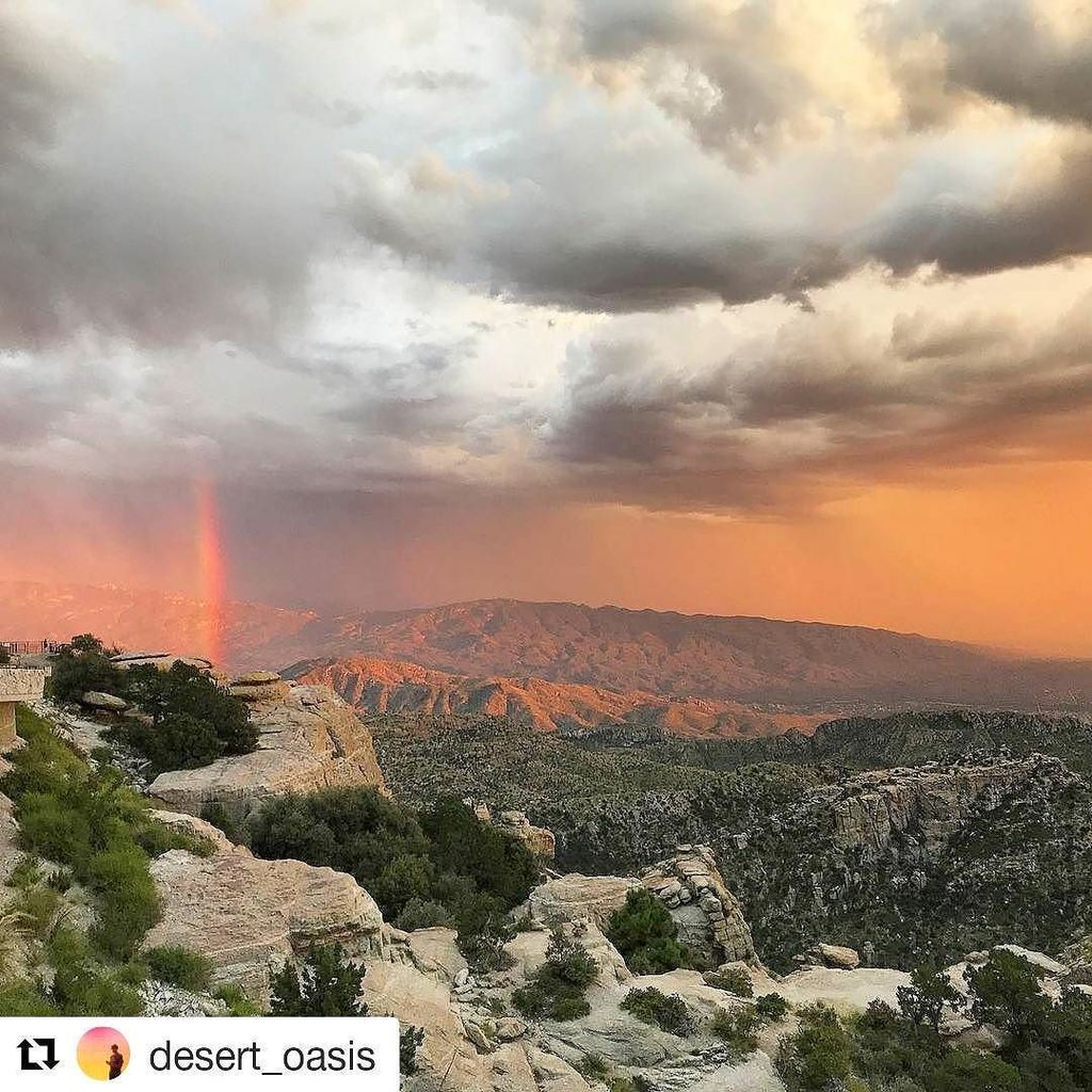 FoxInABoxTucson's tweet photo. Sonoran Sunday! @desert_oasis
・・・
I saw this 🌈 on a mountain named 🍋.
#seeforyourself
#neverstopexploring
#ArizonaHikersGuide #wildernessc… https://t.co/i2rvhqlGVJ
