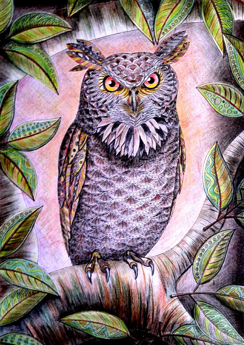 VividPublishers's tweet photo. The Great Horned Owl - Darshana Sri Kumara #adultcoloring: https://t.co/D1iFdIaxs9 by #vividpublishers FREE pages: https://t.co/RAnS07e3at https://t.co/JQLfy4KjrZ