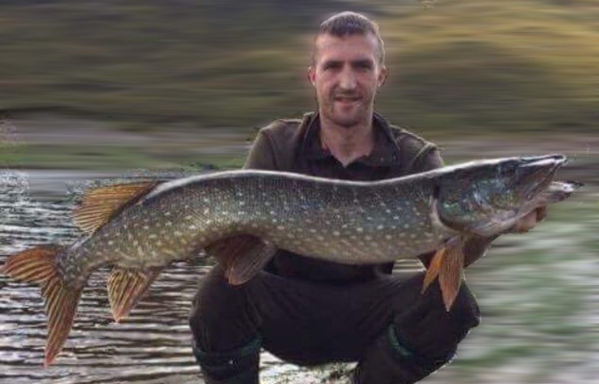 Fish Dynamix tweet media