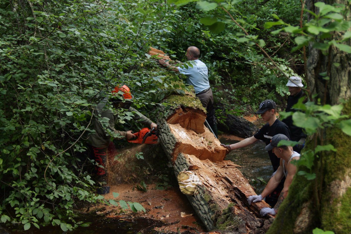 Liedes upes talka (28.06) piedalās Eiropas vides iniciatīvu konkursā! Balsojam: ej.uz/ygqx #entry13 <a href="/Gulbenes_novads/">Gulbenes novada pašvaldība</a> <a href="/LVAFA_LV/">LVAFA</a>