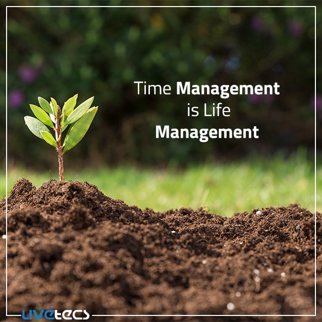 livetecs's tweet photo. With 30 days Free Trial, start TimeLive powerful tool today.
Start Now: ttps://goo.gl/Segyse
#TimesheetApplication #ProjectManager #Livetecs https://t.co/4GvYhf59Tx