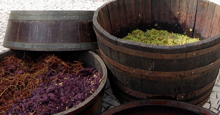 ¿Cuánto sabemos sobre la #vendimia? ¿Queréis probar con este test de <a href="/vinopack/">vinopack</a>? bit.ly/1go8CfK #Curiosidades #cava #cavalovers