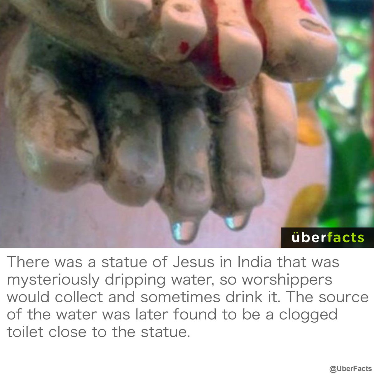 UberFacts's tweet photo. Oops... https://t.co/fb7dBHIUeZ