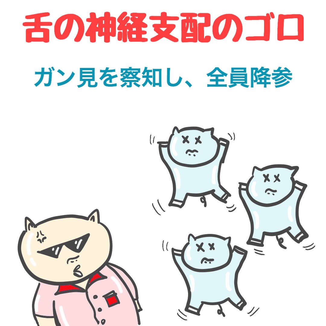 舌 神経 支配