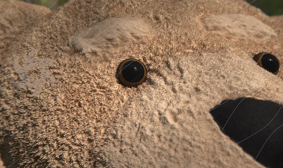 blackfrostd's tweet photo. Octane test renders for teddy getting better #octanerender #faceshift #substancepainter #cinema4d https://t.co/hKZkUSPIhl