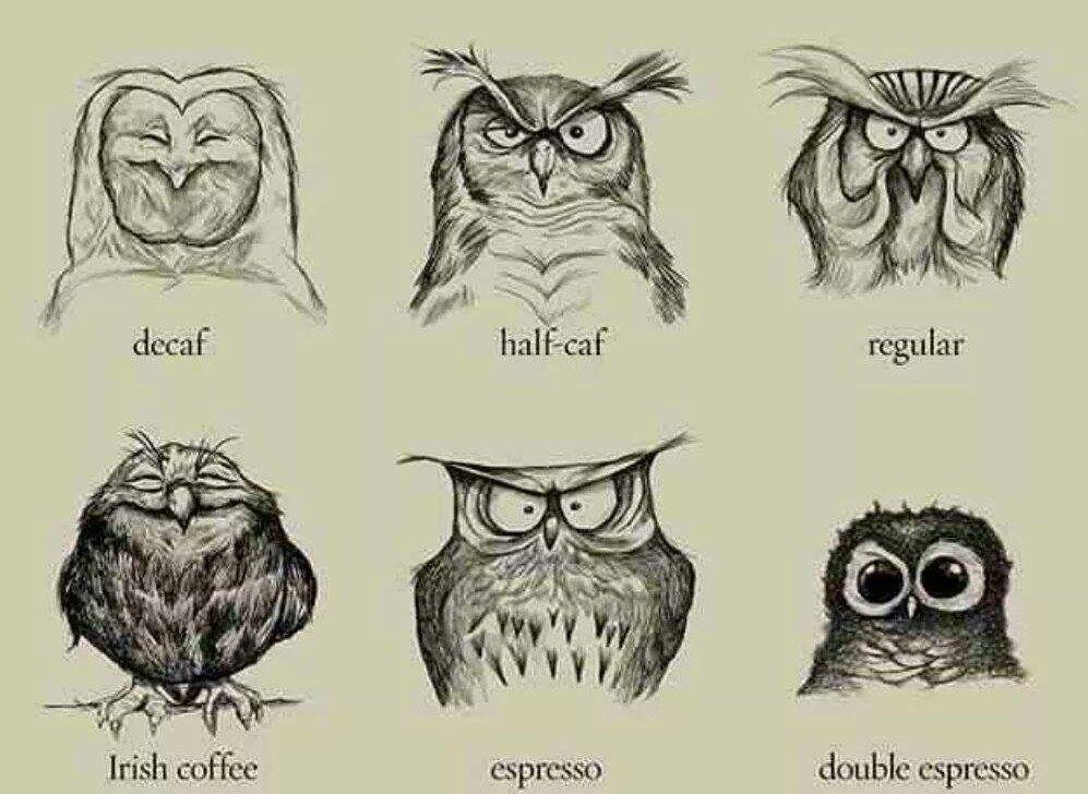 UKTong1's tweet photo. What was your choice to stay alive this #Monday after #GoTS7Finale ? :D 
#Owl #Coffee #GoT #Night #MondayMotivation #ThisMorning #UK #UKtong https://t.co/VZYgOWHKOZ