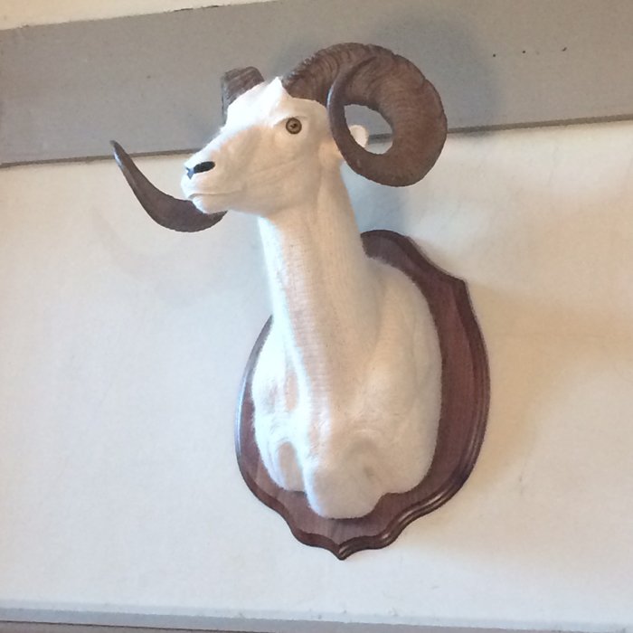 cc_art_handmade's tweet photo. #crochetdermy #textile #art #sculptures for sale at #norfolkbydesign #popup @HoughtonHall2 this #bankholidaymonday https://t.co/CSZJNDoDva https://t.co/COSAUsGGiG