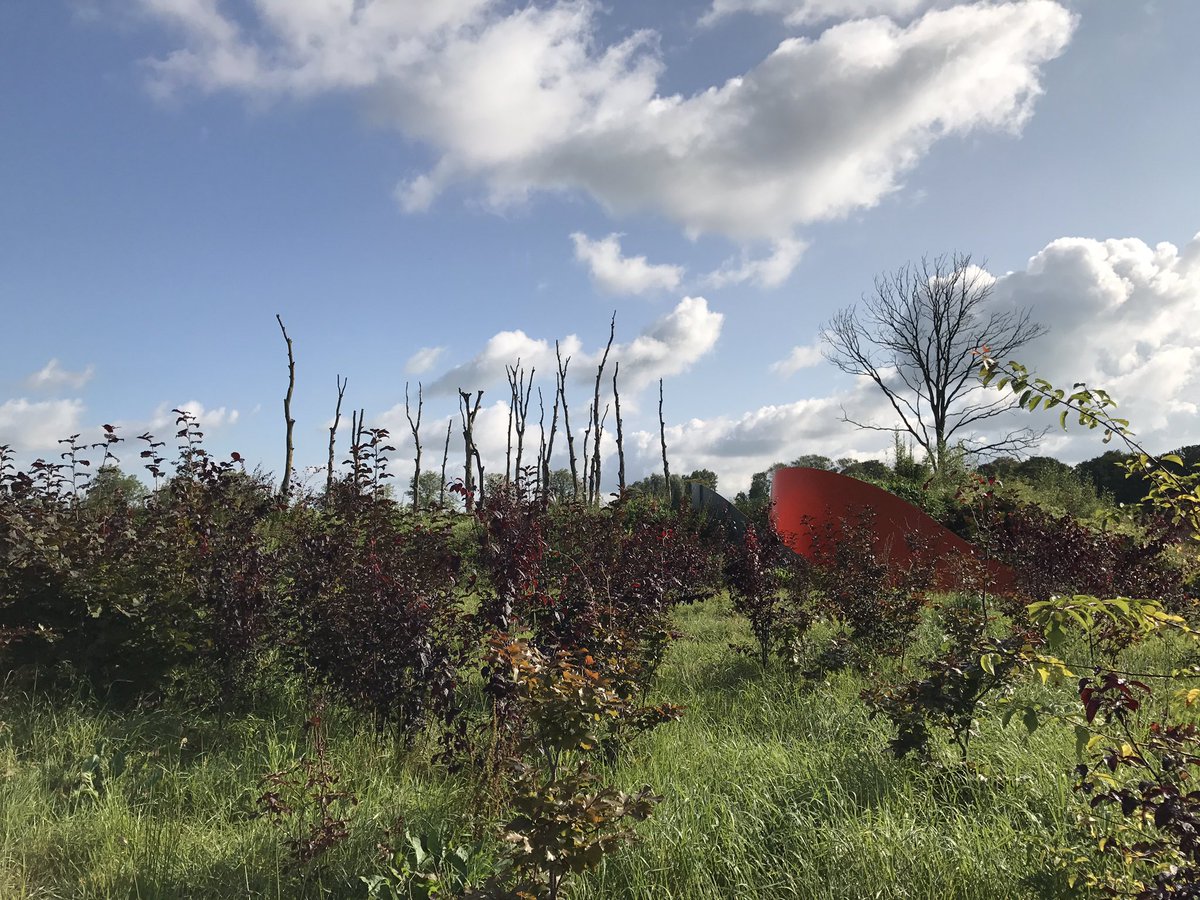 En dan zit je een dag later weer achter een bureau en in de hectiek van alledag. #defriesewouden17