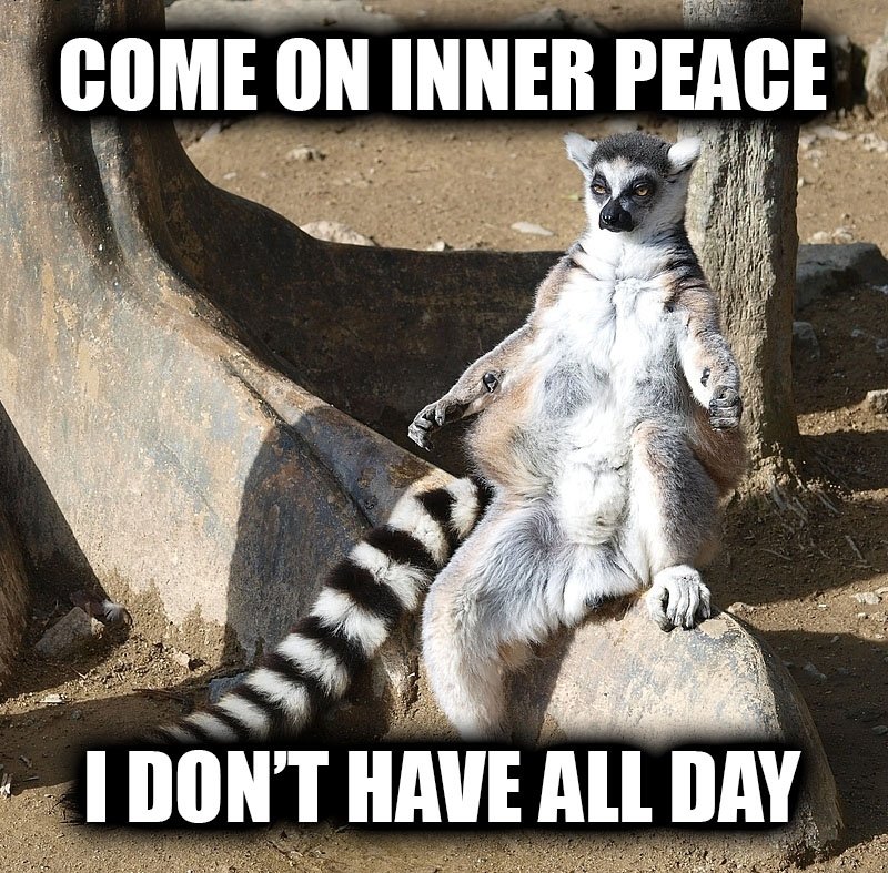 lizwellbeing's tweet photo. Yep! I know that feeling! #innerpeace #funny #Mindfulness #MindBody https://t.co/VBfMyT1cNx https://t.co/eq1fJw1nkh