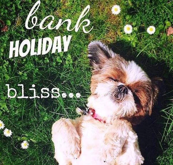 Tra_Williamson's tweet photo. 💗 Good Morning 💗 Happy #BankHolidayMonday 
May your week be filled with good thoughts, kind people &amp; happy moments! 😊 https://t.co/lwSfMvC5pm