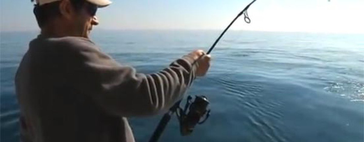 LukrisSL's tweet photo. Pezcador al día, principales noticias de pesca (Agosto 2017, 4) https://t.co/s2kuR3o40m #noticiasdepesca #pescadeportiva #cucharillasmapso https://t.co/Shu8PM2tvK
