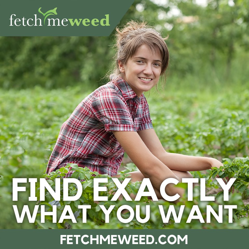 FetchMeWeed's tweet photo. Find out what you want.
https://t.co/5eBfjbnfUJ https://t.co/oBgEODENYg