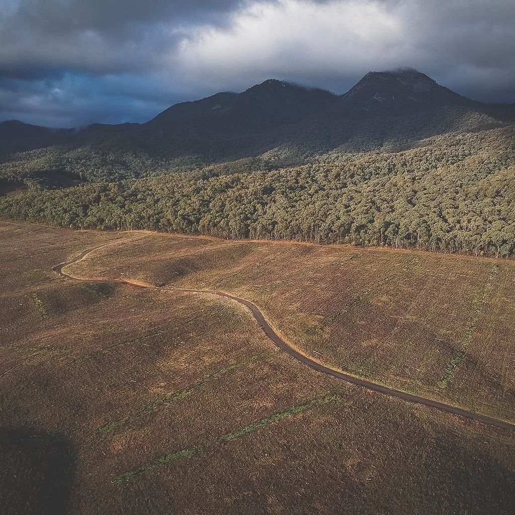 thegojetter's tweet photo. Lake Buffalo with views to Mount Buffalo from the sky
Loc : Lake Buffalo
••••••••••••••••••••••••••••••••••••••
#fromwhereidrone #letsgosom… https://t.co/h2ufa1Igui