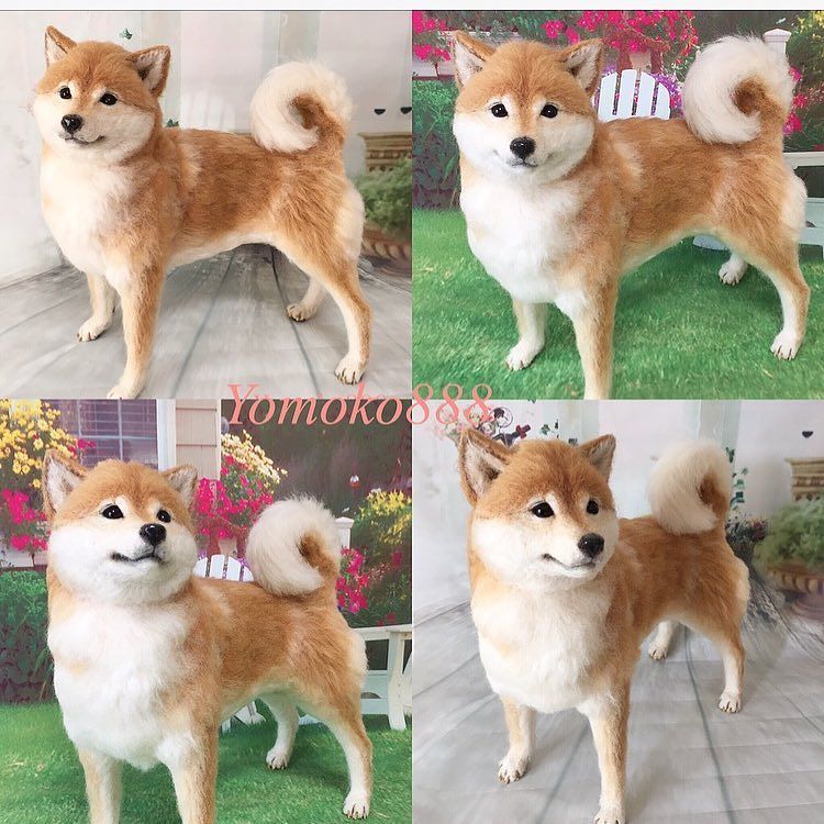 moko824428's tweet photo. 先ほどヤフオクさんに出品完了しました🐕本日開始、9月4日（月）夜の終了です🍀私自身もすごく気に入っています☺️大切にして下さる方とのご縁お待ちしております💓 #羊毛フェルト #柴犬 #柴わんこ #羊毛氈 #羊毛毡  #feltc… https://t.co/XcpPWwqXzj https://t.co/Sg5gr7a634