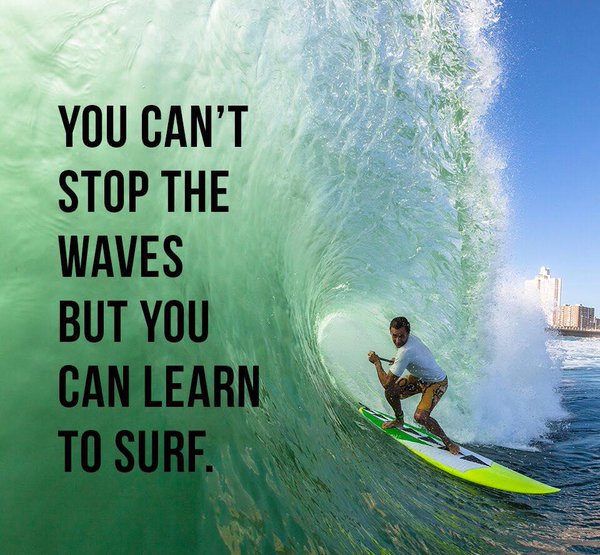 Roger James Hamilton You Can T Stop The Waves But You Can Learn How To Surf Inspiration Quotes Mondaymotivation