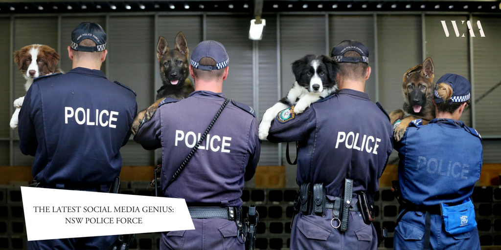 weareanthology's tweet photo. Blog post alert 🙌
NSW Police Force are the Social Media guru's. Check out why
 📒 https://t.co/ThVm02D4L5