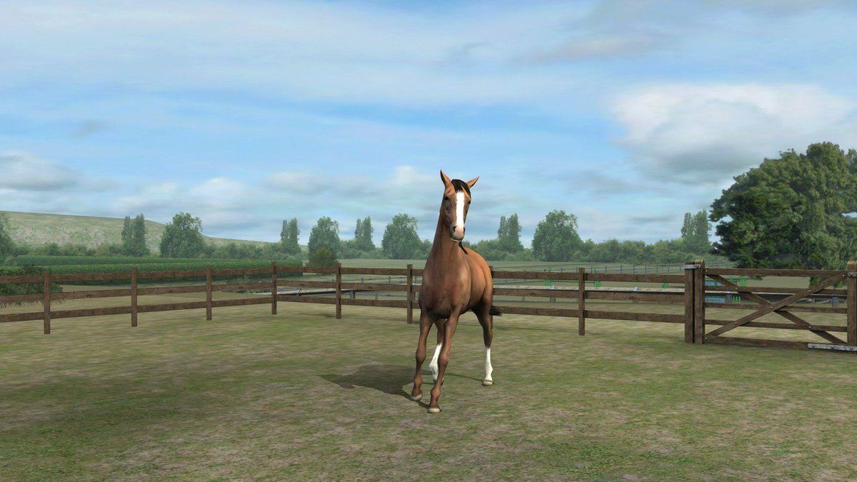 schaefer_elodie's tweet photo. Viens voir ma photo ! Ajoute-moi, FancyCreek855. #MyHorse  https://t.co/l9YsRbiimC https://t.co/bvH6PmebiZ