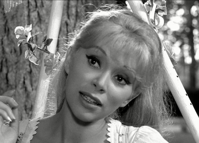 TF1's tweet photo. L'actrice Mireille Darc nous a quitté à l'âge de 79 ans.
https://t.co/fQY8vigxgx https://t.co/N2AlW1qY49