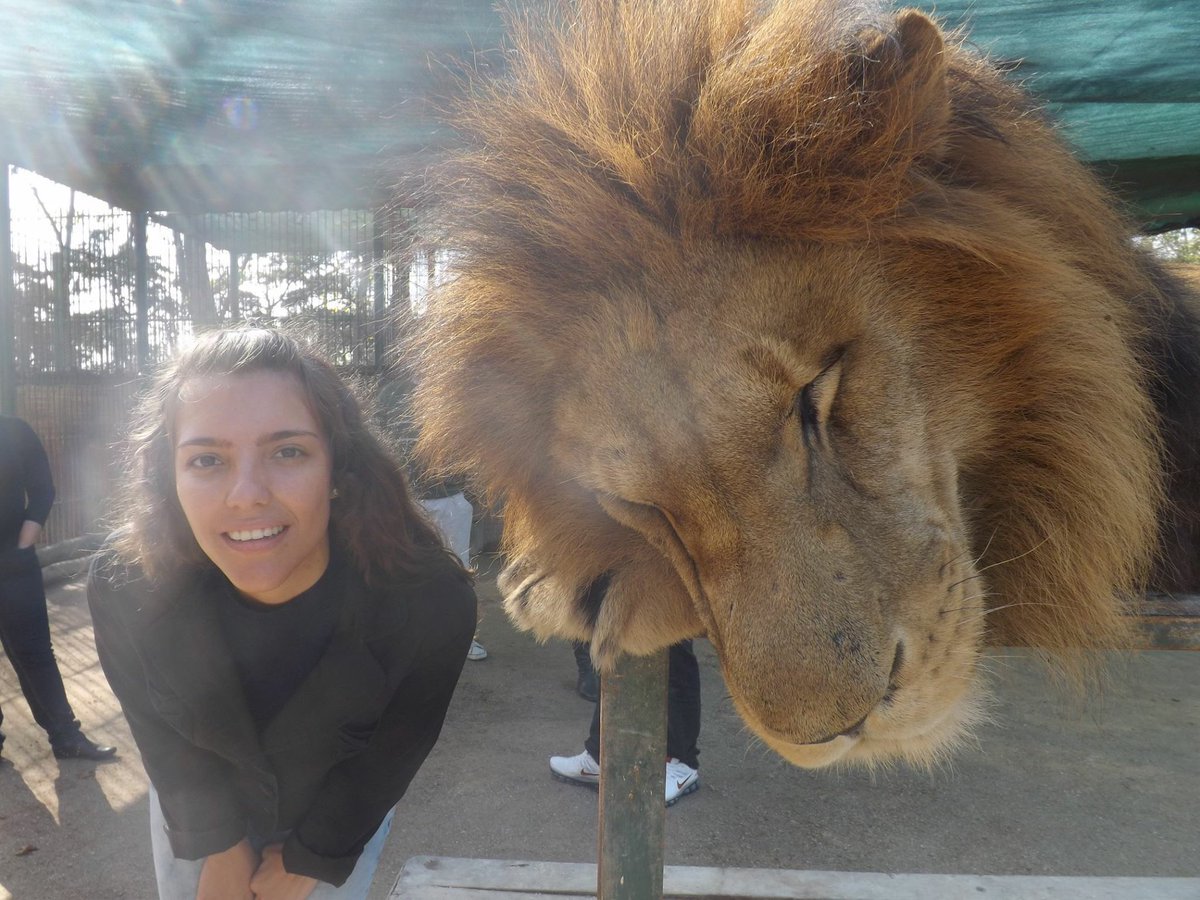 efoulon1's tweet photo. Si vous voulez faire cesser ces atrocités et décider ou non de la  fermeture du zoo, voici le lien https://t.co/Y62WRUGqm0 https://t.co/Nj9ALKcNbO