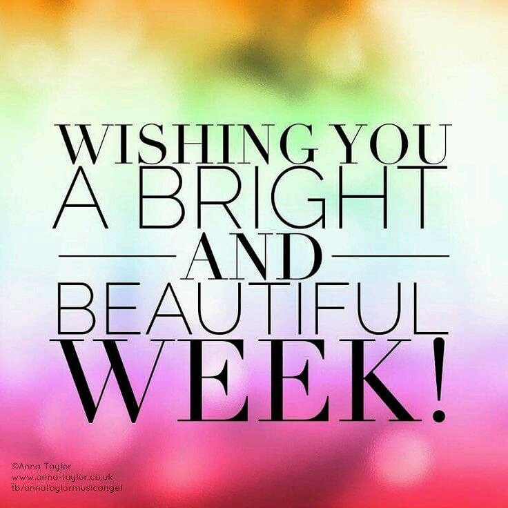 MDA_2017's tweet photo. #MondayMotivation https://t.co/8PFLlJs6gr
