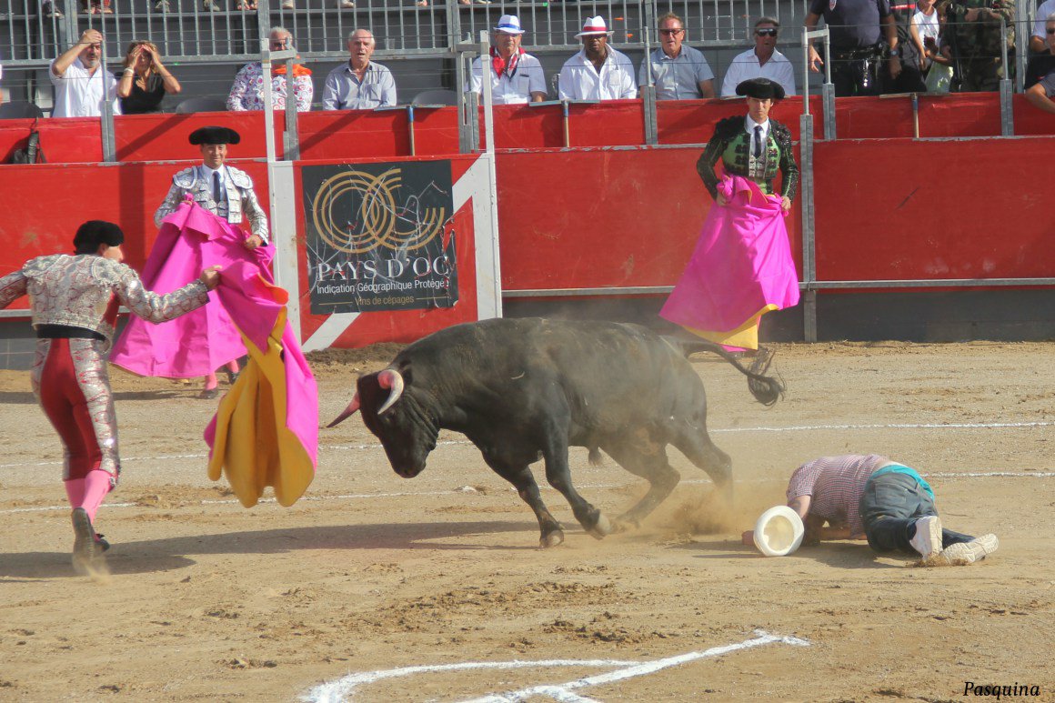 Vadebraus's tweet photo. Las fotos que no verás en los medios. Banderilleros salvándole la vida a un antitaurino. https://t.co/tMLx9iu4WZ https://t.co/rl3gs7wVDa