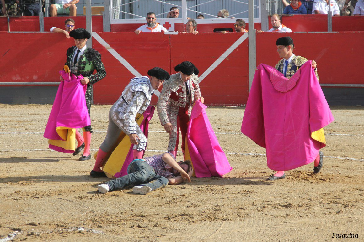 Vadebraus's tweet photo. Las fotos que no verás en los medios. Banderilleros salvándole la vida a un antitaurino. https://t.co/tMLx9iu4WZ https://t.co/rl3gs7wVDa