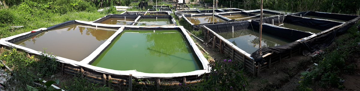 APPBI SUMSEL tweet media