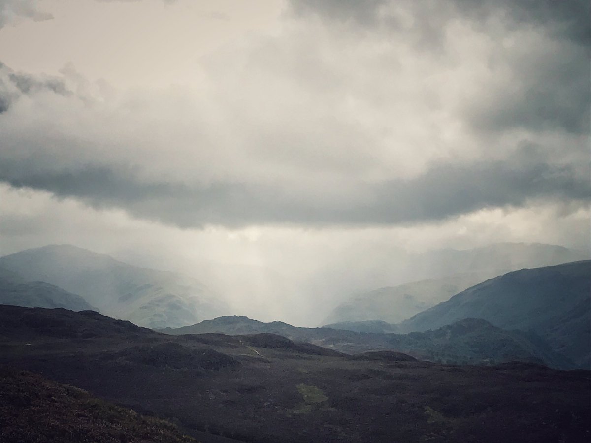 Carmen Norman (carmennorman) Twitter